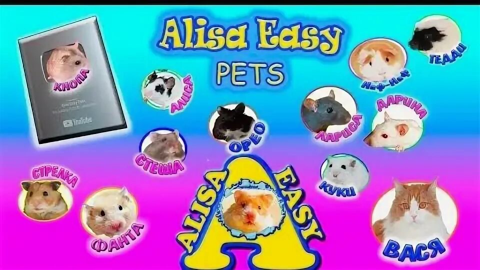 Easy pets. Алиса ИЗИ петс хомяки. Алиса ИЗИ петс морские свинки. Канал Алиса ИЗИ петс. Алиса ИЗИ петс магазин.