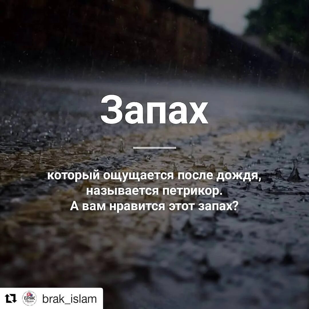 Запах ливня. Запах после дождя. запах после дождя петрикор. запах асфальта после дождя.
