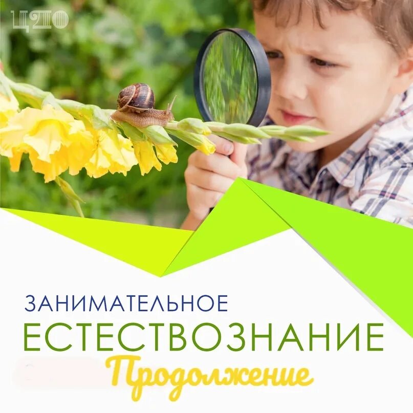Взаимосвязи в природе. Естественно научная живая природа. Связь живой и не живой природы. Естественно научная живая природа. Слайд живая природа для детей.