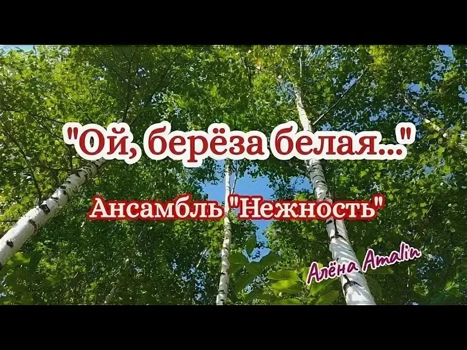 Березовая грусть грачева