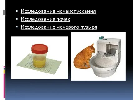 Исследование мочеиспускания