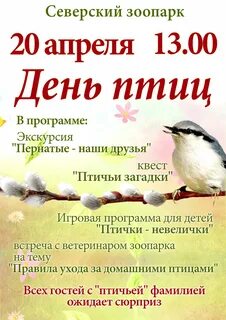 День птиц название мероприятия
