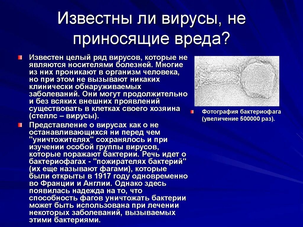 Представители вирусов 5 класс биология. Сообщение о вирусах. Вирусы доклад. Вирусы презентация. Презентация по биологии вирусы.