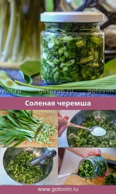 Как хранить черемшу на зиму. Черемша соленая. черемша соленая рецепты. черемша соленья. черемша на зиму в банках.