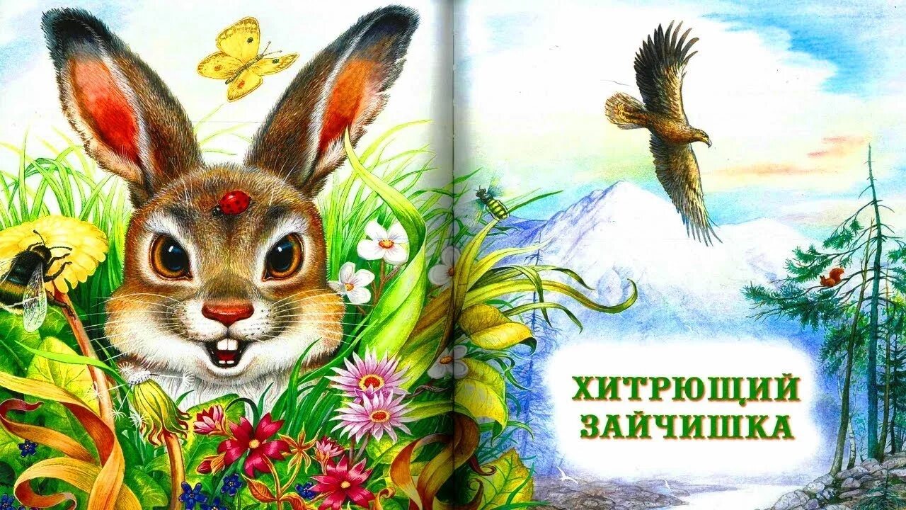 Жизнь животных весной сладкова сказки. Хитрющий зайчишка Сладков иллюстрации. Сладков сказки. Лесные звери сказка.