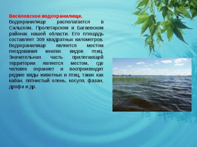 Водные богатства волгоградской области 2 класс. Водные богатства края. Водохранилище презентация. Рассказ о водохранилище. Водохранилище нашего края.