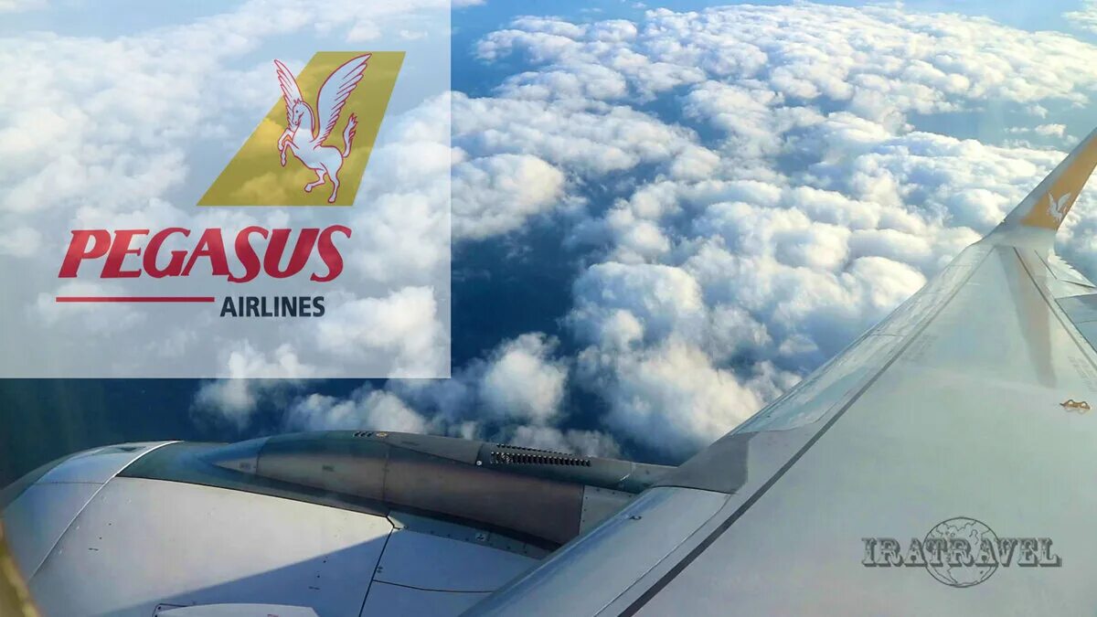 Pegasus Airlines реклама. Pegasus Airlines в аэропорту. Pegasus Airlines 4к. Самолёт из бумаги Pegasus Airlines. Хочу полететь в москву