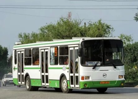 Автобус 144 плесково
