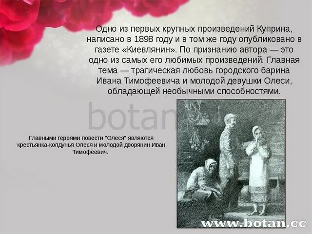 И. Рассказ мне очень понравился. Рассказ куприна барбос и жулька. Куприн чудесный доктор о чем. А.