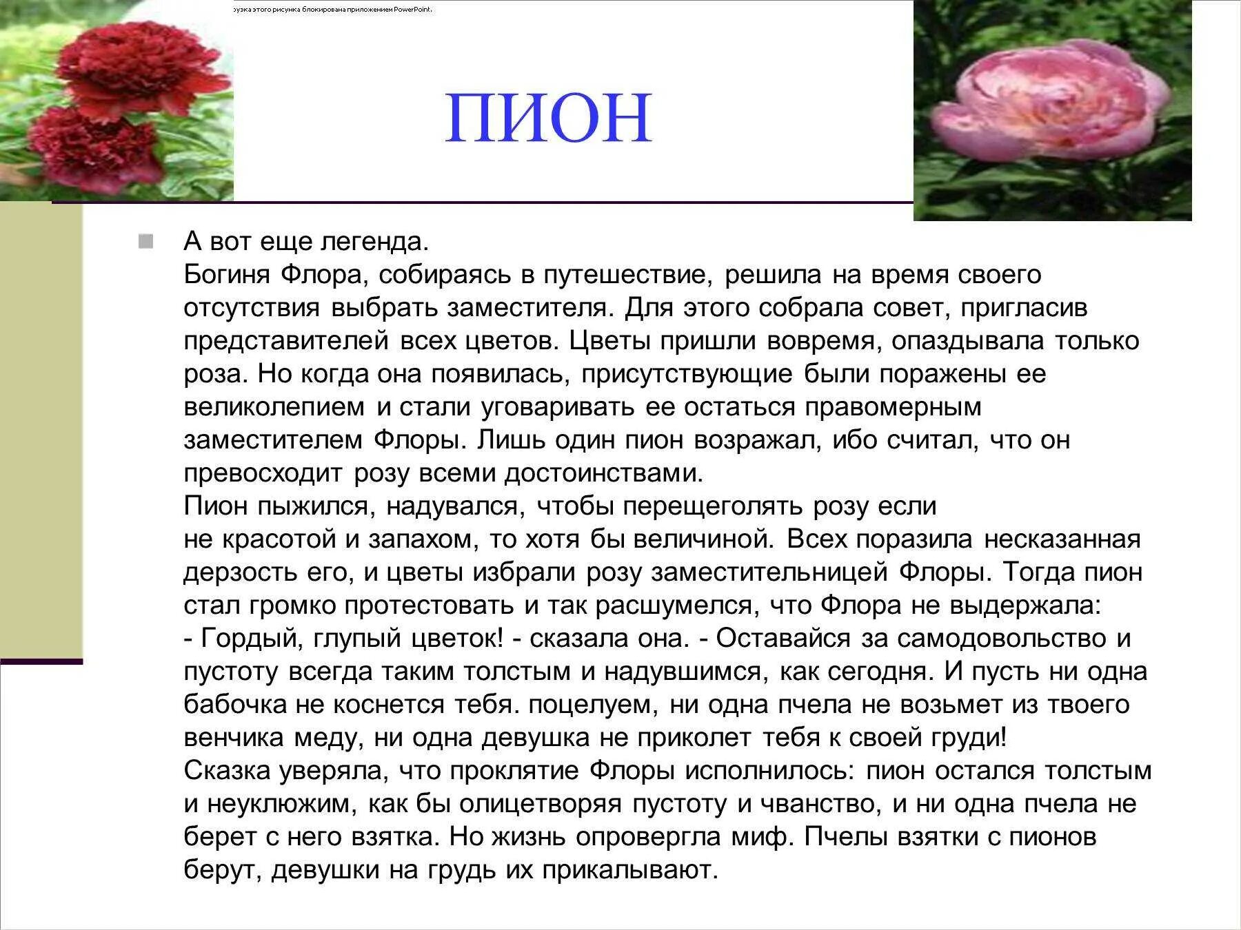 История про цветы
