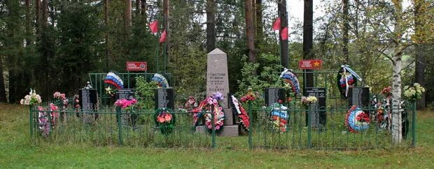 Погода ганьково тихвинский. Погода ганьково тихвинский. Деревня ганьково. Ганьково ленинградская область. Погода ганьково тихвинский.