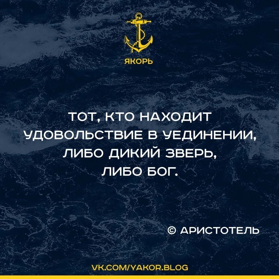 Поиск удовольствия. Либо зверь либо Бог. Тот кто находит удовольствие в уединении либо дикий зверь либо Бог. Либо Бог либо дикий зверь Аристотель. Цитаты либо дикий зверь, либо Бог?.