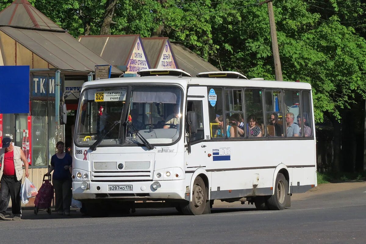 Расписание 535 гатчина новый свет. Автобус 525 Гатчина Учхоз. 525 Автобус Гатчина новый Учхоз. Автобус 525 Учхоз Гатчина маршрут. Автобус 525 Гатчина Учхоз Икарус.