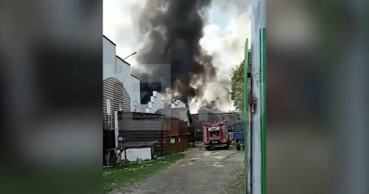 Горит конюшня. Пожар в КСК Левадия. Пожар в Подмосковье. Пожар в Ливадии. Сгорела конюшня в Подмосковье.