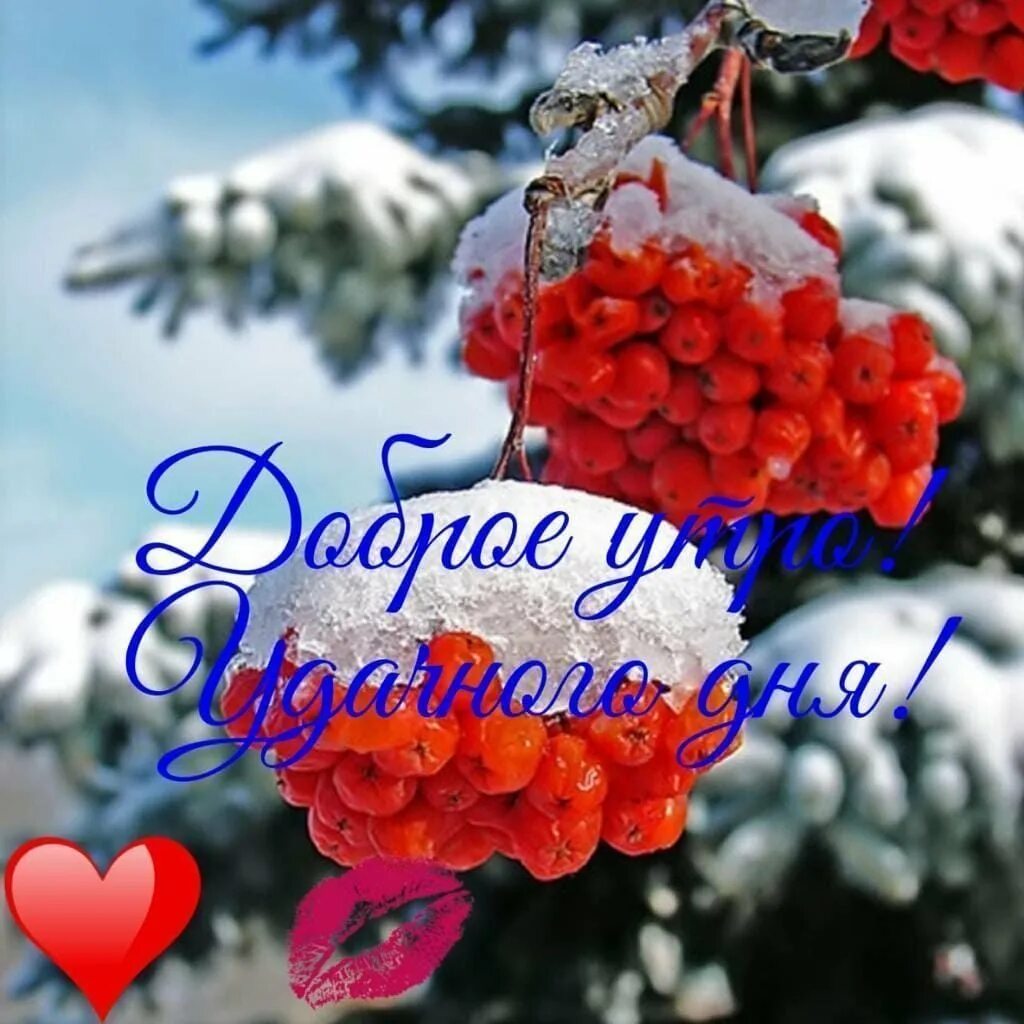 Доброго зимнего дня хорошему человеку. Доброго зимнего утра и хорошего дня. цветы для хорошего зимнего настроения. утренние зимние пожелания. поздравления с добрым утром зимой.