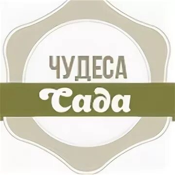 Песня чудо сад