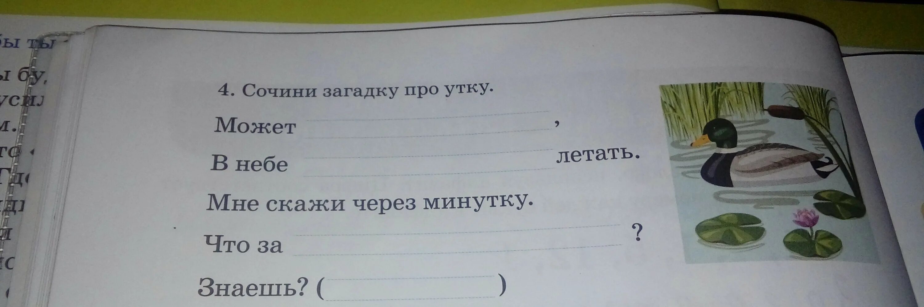 Загадки придумать самим 1. Загадка про утку. Придумать загадку. Придумать загадку про утку. Придумать свою загадку.