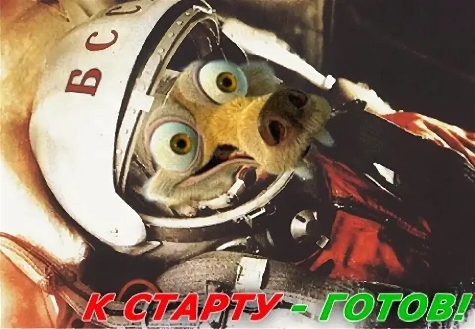 Го поехали. Го поехали