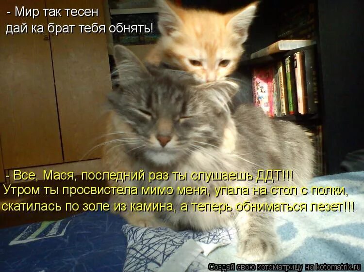 давай ка брат песня. евгений коновалов - а ну-ка, брат. давай ка брат песня. давай ка брат песня. а ну ка брат налей.