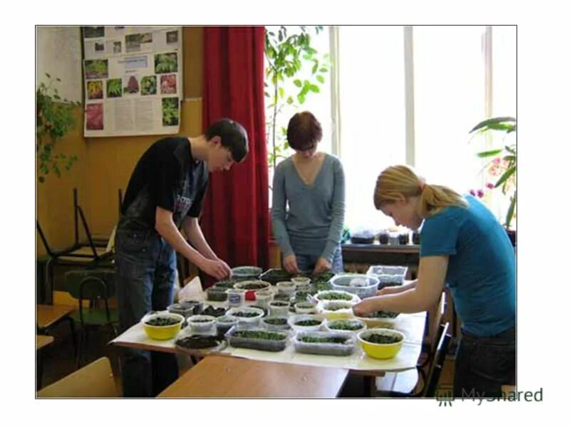 шарьинский аграрный