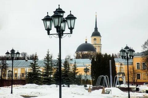 Ели в твери