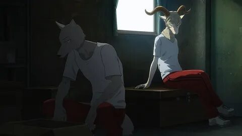 Beastars 2 - 09 - Random Curiosity