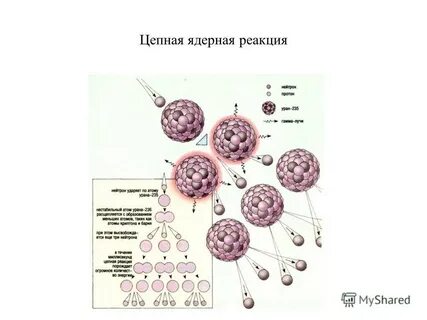 Цепная ядерная физика