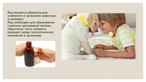 Йод для животных