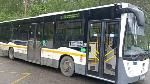 Автобус 10 пушкино