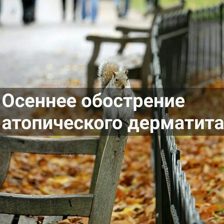 Осенние обострения здоровье. Осеннее обострение. Осенние обострения болезни. Осеннее обострение. Период осеннего обострения.