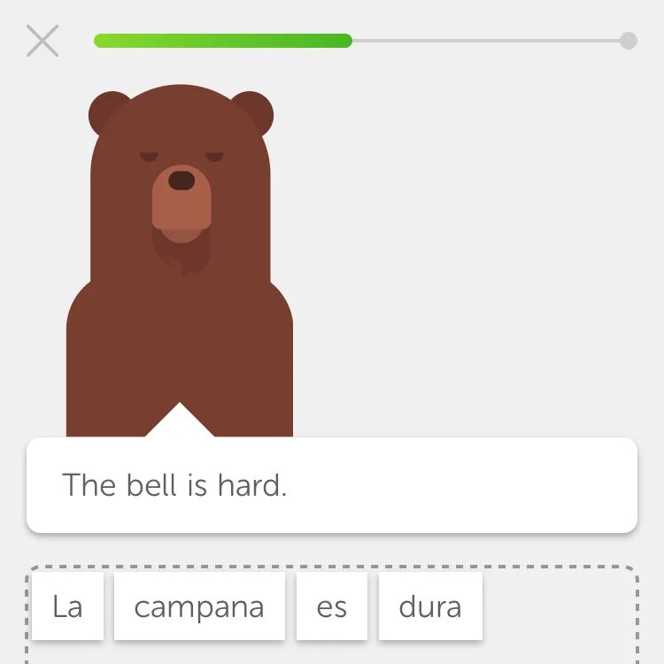 Страшный дуолинго. Медведь Дуолинго. Duolingo мемы. Дуолинго злой. Дуолинго страшный.