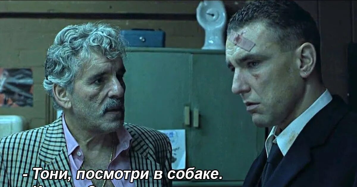 Большой куш отрывок. Кузен ави большой куш. большой куш песики. большой куш собака.