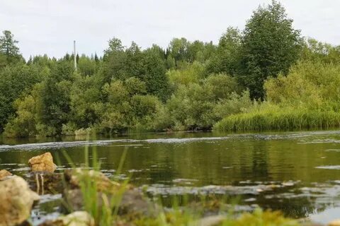 Погода в нижней омре троицко печорского