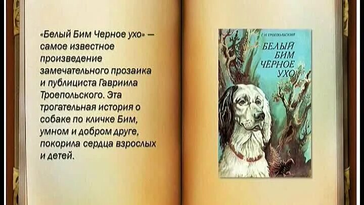 Белый бим чёрное ухо гавриил троепольский книга. Гавриил троепольский “белый бим черное ухо” иллюстрации. Г троепольский белый бим черное ухо. Троепольский белый бим черное ухо отрывок. Гавриил троепольский белый бим черное ухо.