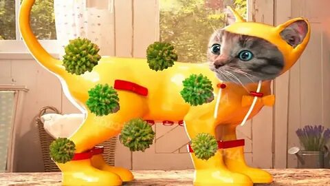 Little little my favorite cat