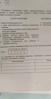 Установите соответствие между характеристиками группами