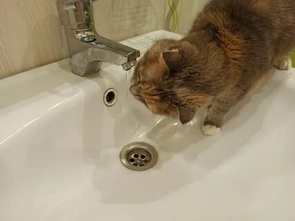 Выключи 22