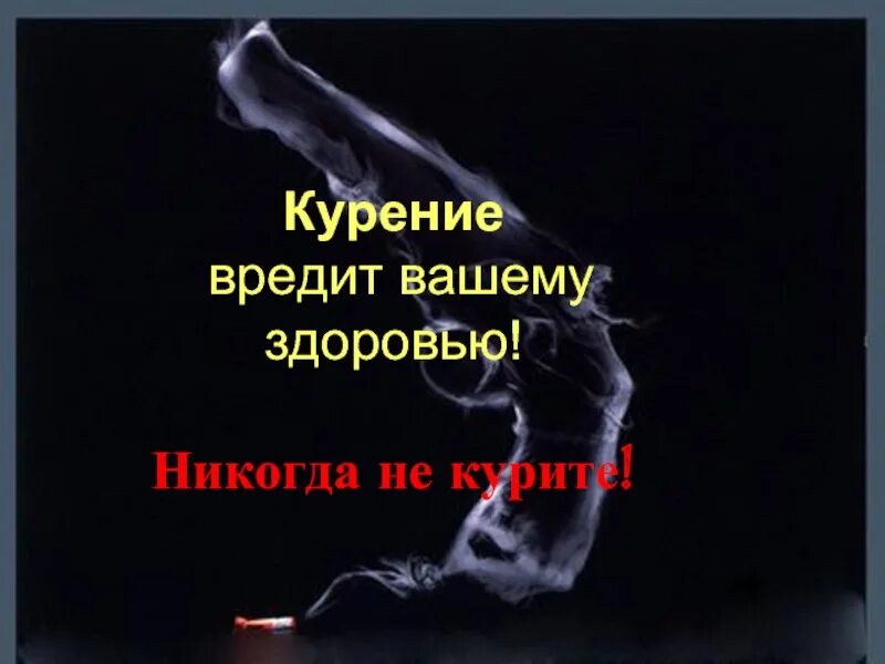 Минздрав предупреждает курение вредит. Курение вредит вашему здоровью. куоение воедит впшему здоо. курение вредит вашему здоровью фото. курение убивает здоровье.