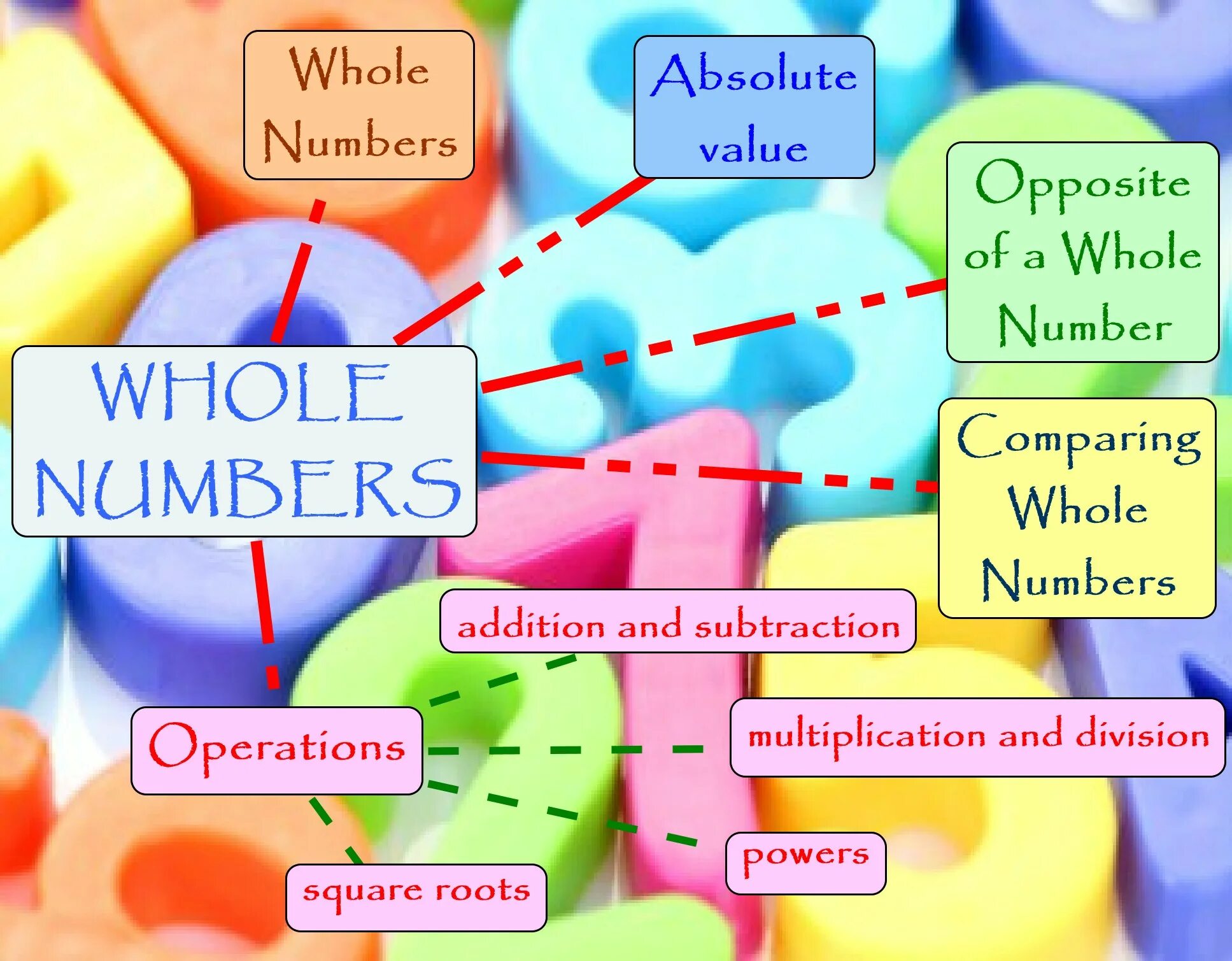 Whole numbers. Opposite numbers. Whole numbers are. What is a whole number. Whole предложения