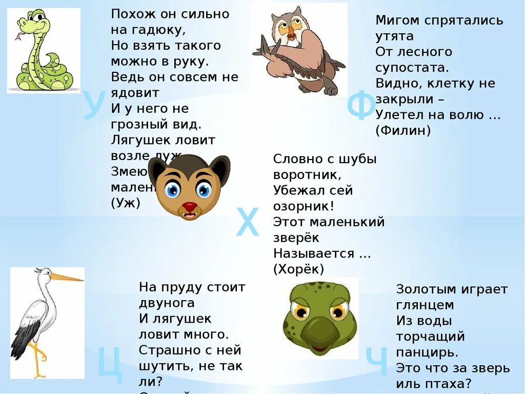 Загадка года с ответом. Детские загадки про животных для 1 класса. Загадки про животных для детей 1 класса с ответами. Загадки о животных для детей 1 класса. Загадки для детей 10 лет с ответами на логику про животных.