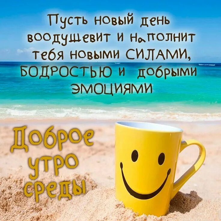 Пин от пользователя Ирина Алексеева на доске Крошка Ши Юмор о работе, Веселые фа