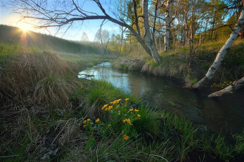 Тихо струится река серебристая. Вечер Весна река. Тихого весеннего вечера. Тихая река весной. Река струится.