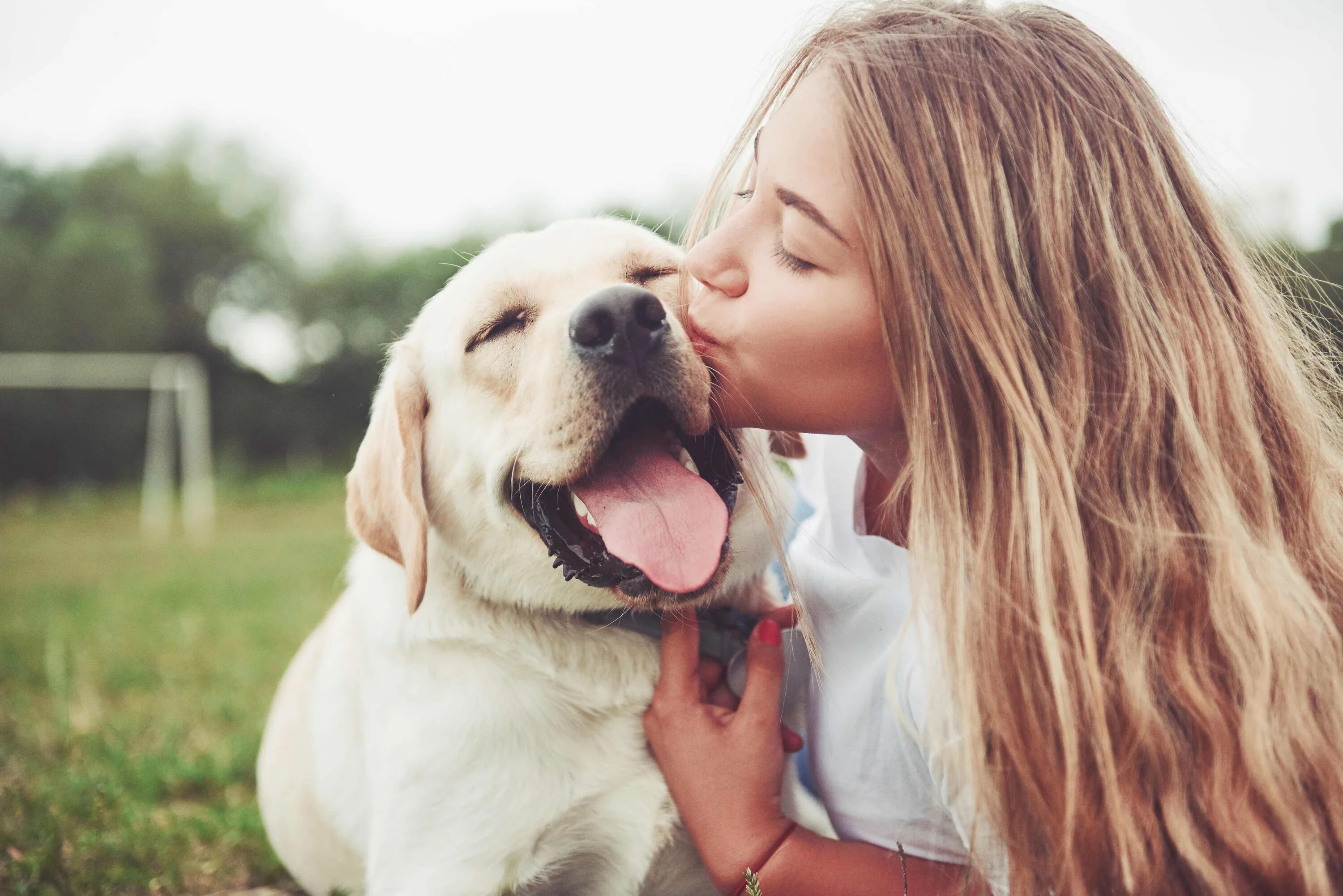 Photo pet. Красивая девушка с собакой. Собаки любовь. Девушка и собака любовь. Блондинка с собакой.