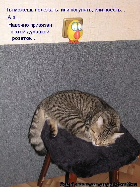 Еда дает энергию я после еды. Бог поел и полежал без поел. Бог поел и полежал без поел. Лорд теней hollow knight комикс. Бог поел и полежал без поел.