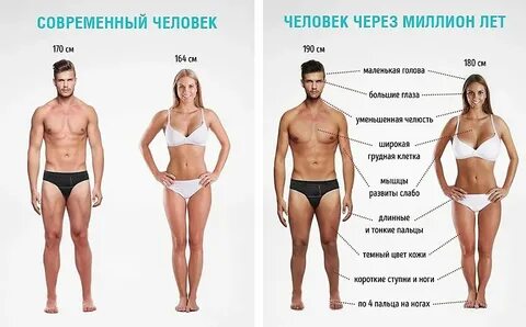 Дольше тел 3