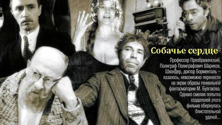 Герои из собачьего сердца. Актер толоконников собачье сердце. Собачье сердце о чем книга кратко. Характеристика филиппа филипповича преображенского собачье сердце. Герои из собачьего сердца.
