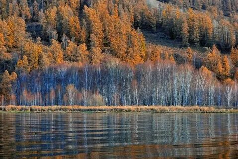 Маркаколь