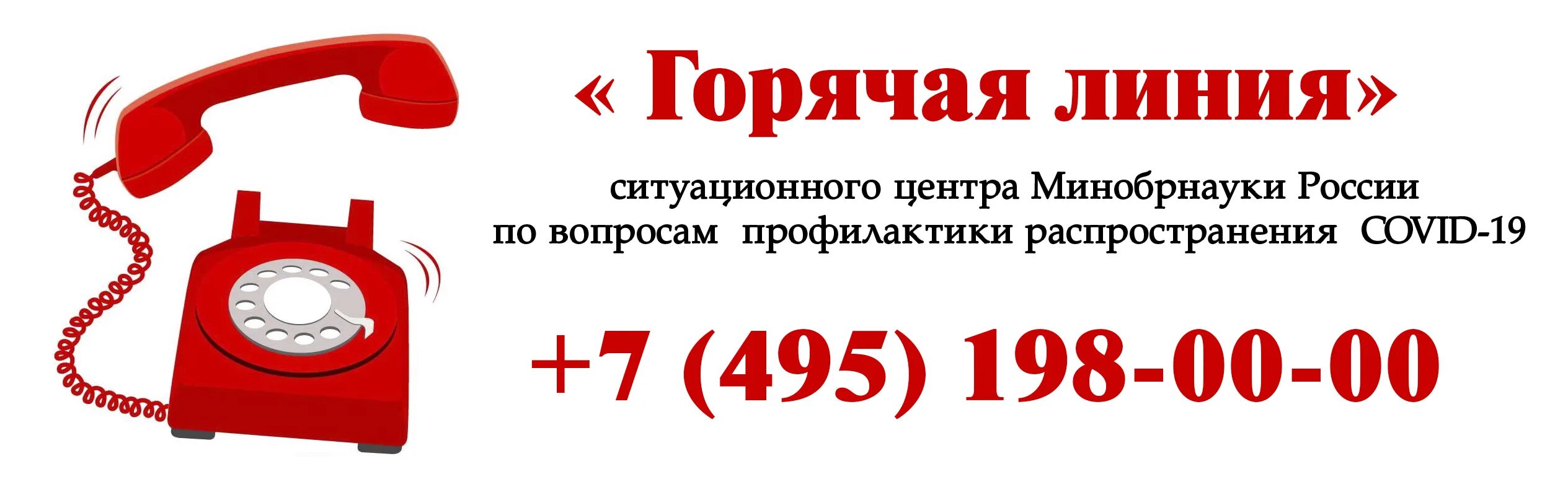 Орматек горячая линия. Горячая линия. Звонок на горячую линию. Позвонить на горячую линию. Баннер горячая линия.