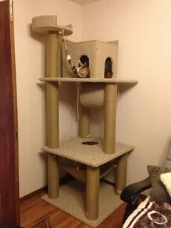 Уголок коте