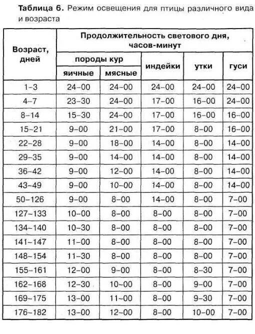 При какой температуре можно цыплят. Таблица освещения для цыплят бройлеров. Температурный режим для индюшат таблица. Температурный режим для индюков таблица. Таблица света для цыплят бройлеров.